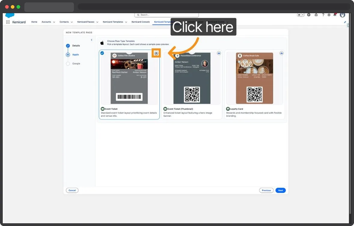 Kemicard Studio — Access Preview Options