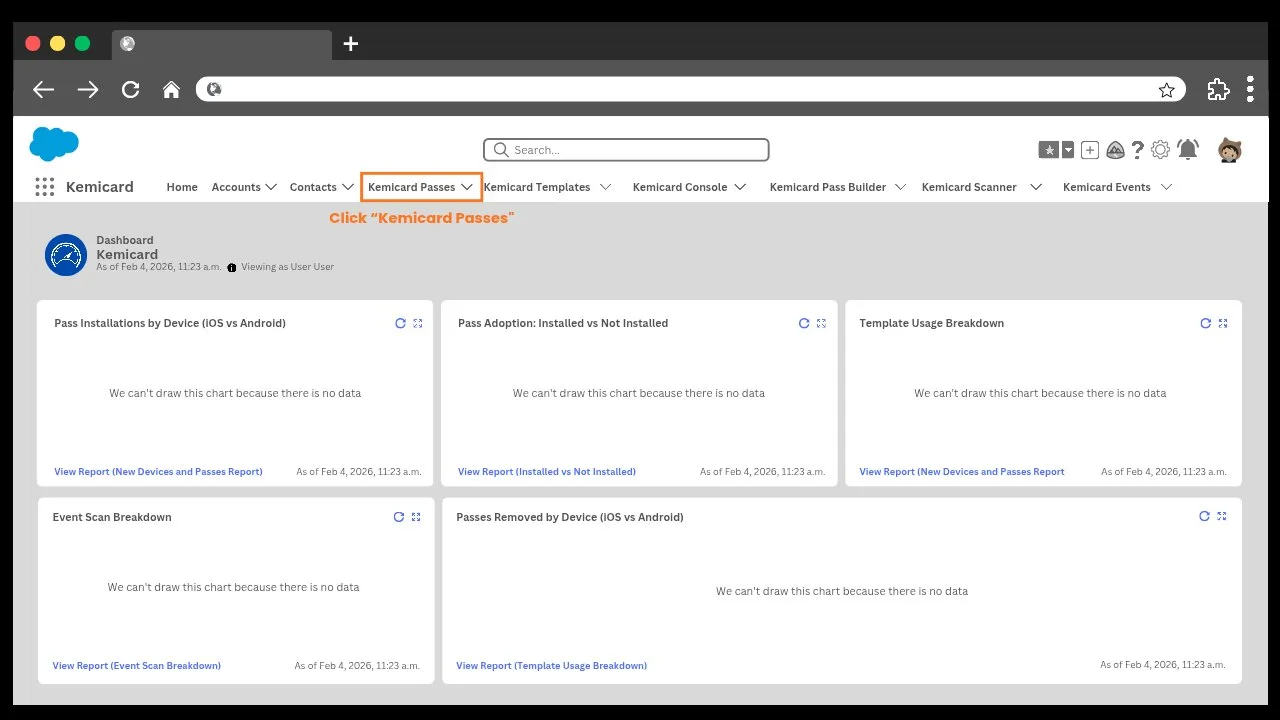 Open the Kemicard Passes tab in Salesforce