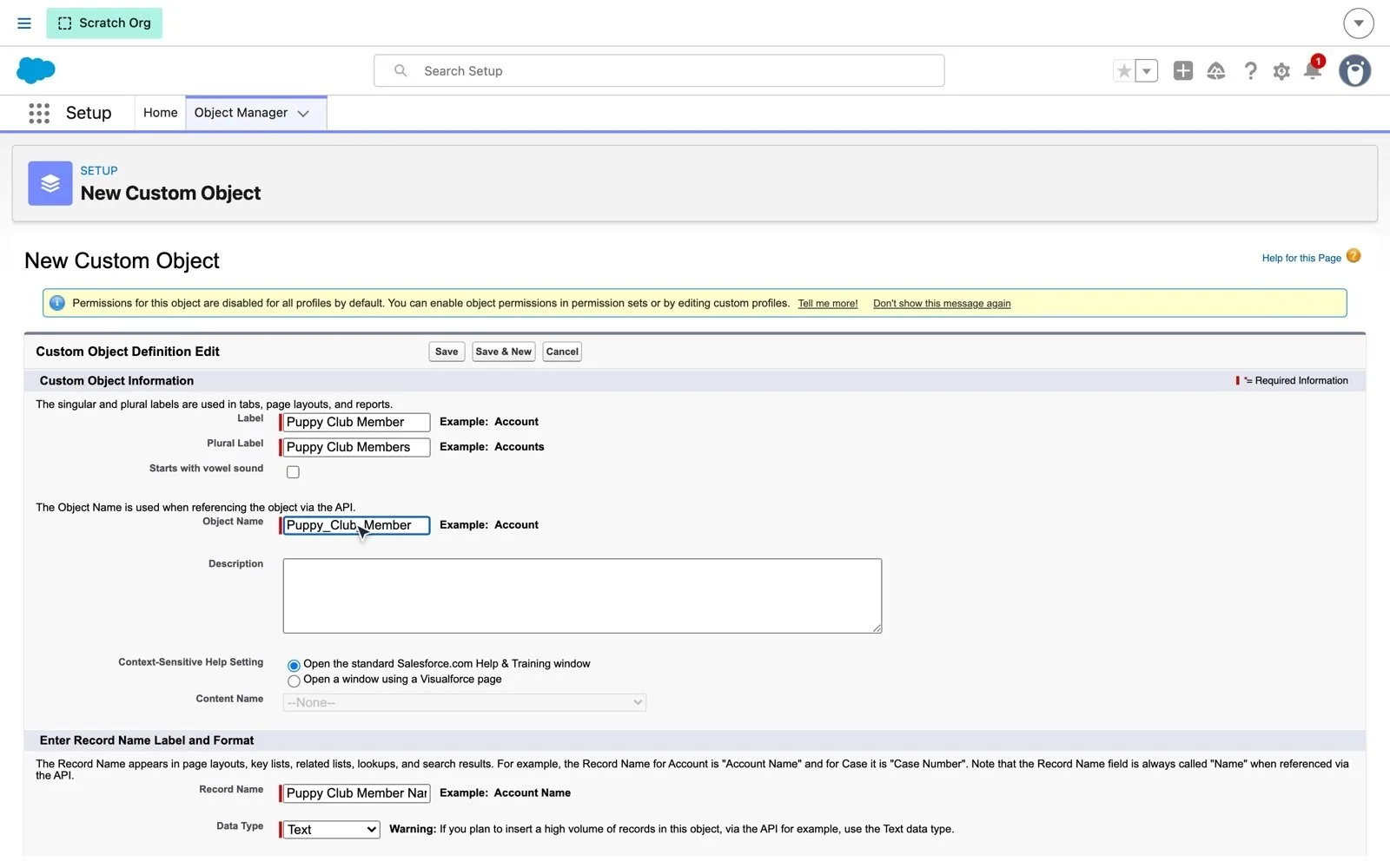 New Custom Object form with label Puppy Club Member and object name Puppy_Club_Member